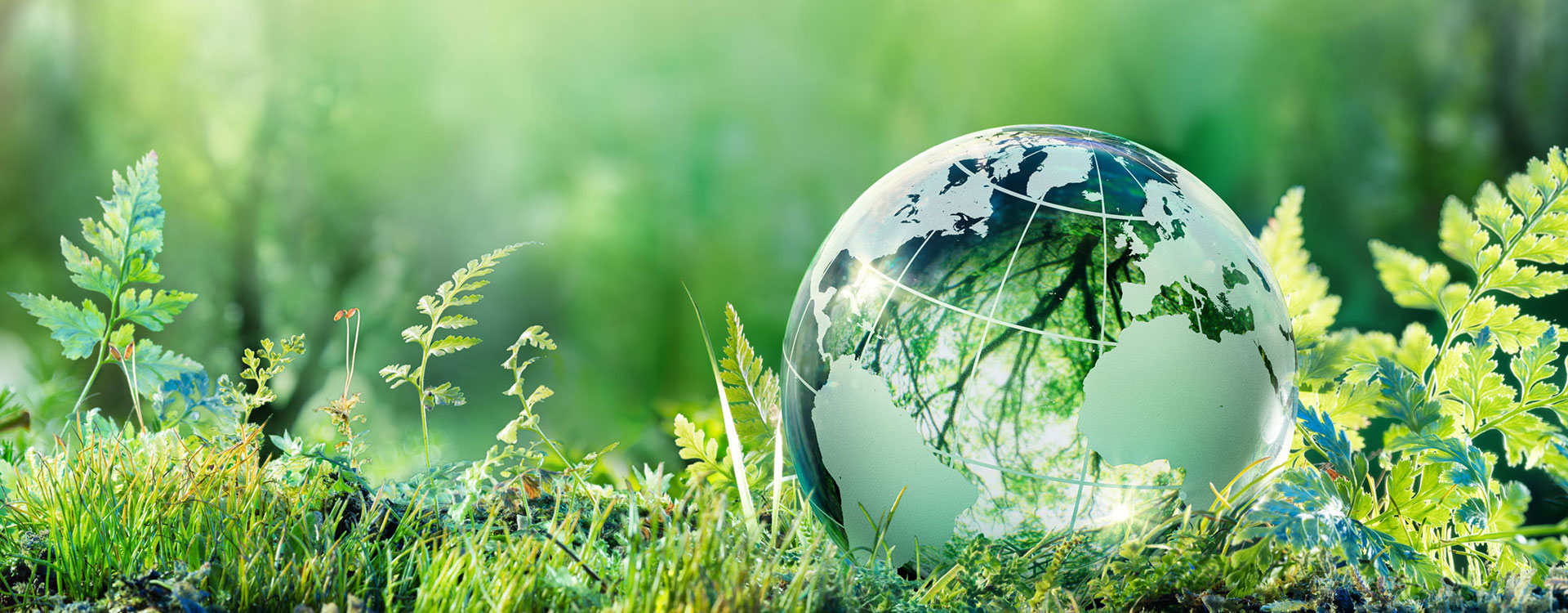 Susbainability من FUJISTAR Abrasives