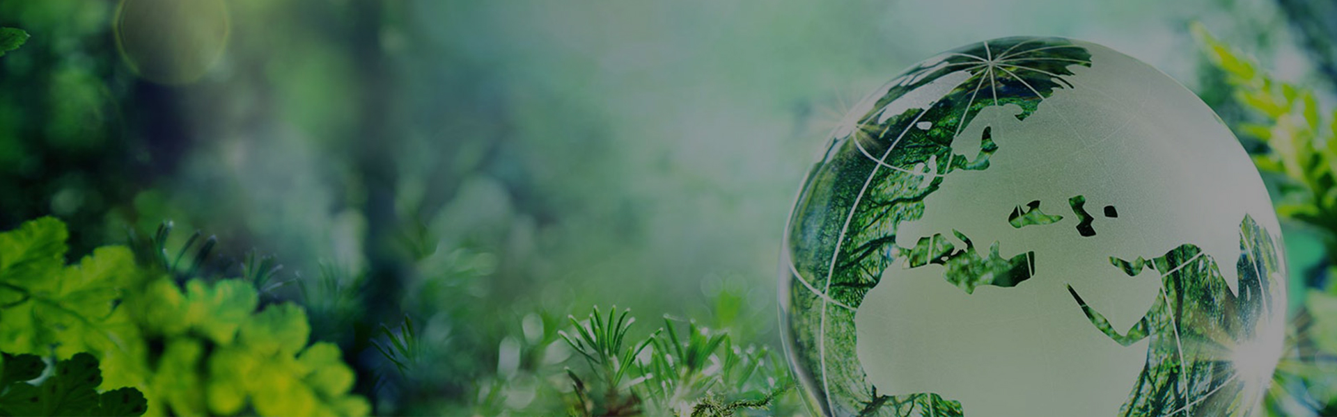 استدامة مواد الكشط في فوجيستار