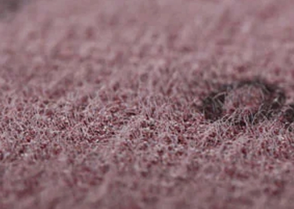 لماذا تختار أقراص الصنفرة من فوجيستار ؟